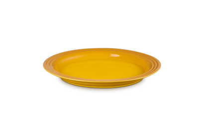 Stoneware Dinner Plate