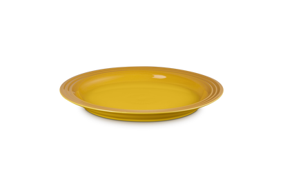 Stoneware Dinner Plate